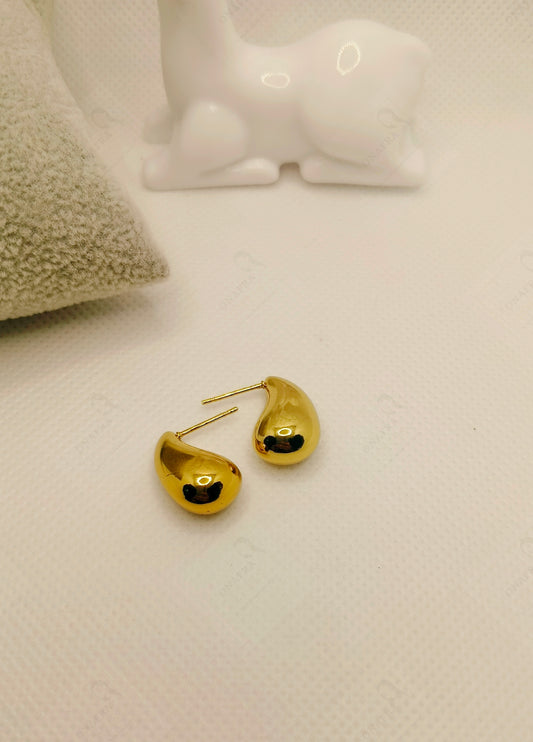 18K Gold Plated Stainless Steel Earrings β Elegant & Trendy.
