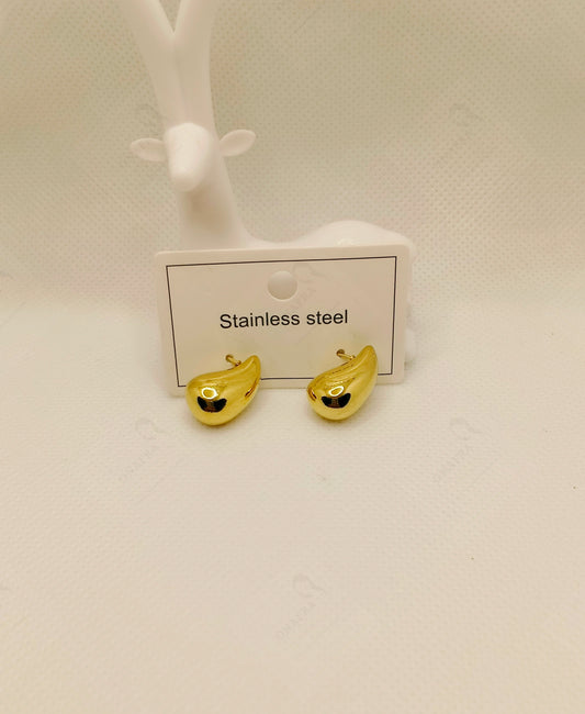 18K Gold Plated Stainless Steel Earrings – Elegant & Trendy.