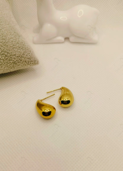18K Gold Plated Stainless Steel Earrings – Elegant & Trendy.