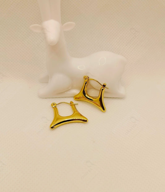 Stylish Golden Earrings